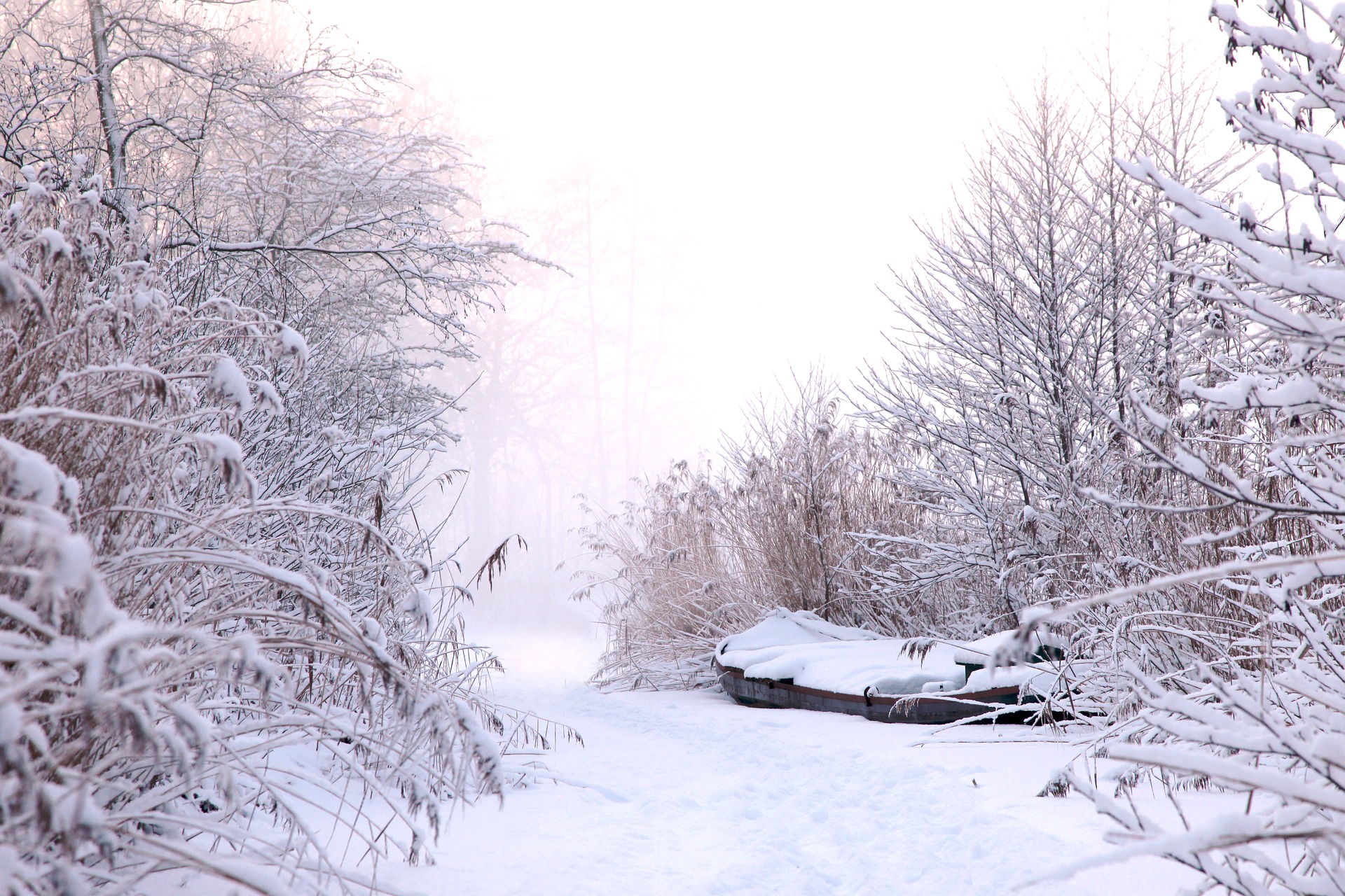winter-2553986_1920.jpg