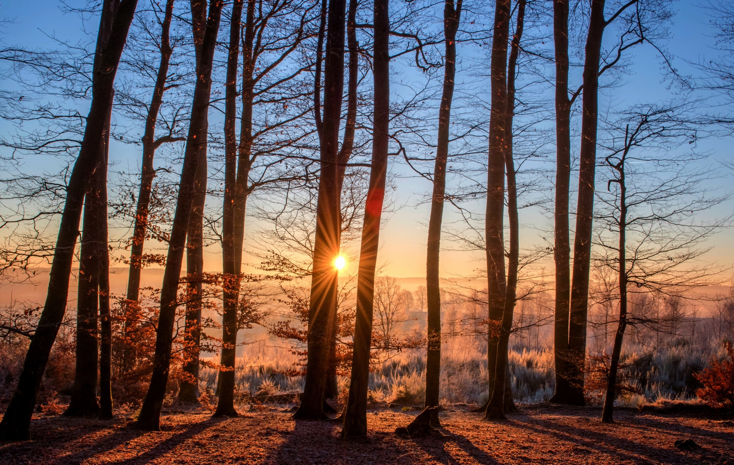 autumn-beautiful-countryside-289346-via-sitapix-com.jpeg